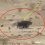 НЛО в аравийской пустыне: видео высадки инопланетян