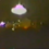 НЛО/UAP снято в Майами Адри Эйном более пятидесяти минут 20 октября 1995 года.