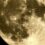 Я только что сделал эту фотографию Луны на свой телефон.  Потом я заметил что-то сидящее на самом верху.  Я увеличил масштаб и сделал скриншот.  Что это за хрень?