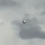 НЛО над аэропортом SRQ?  Шокирующее дневное наблюдение металлического шара • Последние наблюдения НЛО
