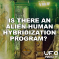 alien human hybridization podcast square