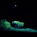 cisco grove mystery ufo alien robot
