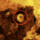 На поверхности Венеры найден 7-мильный диск, на карте Google, Новости о наблюдениях НЛО.